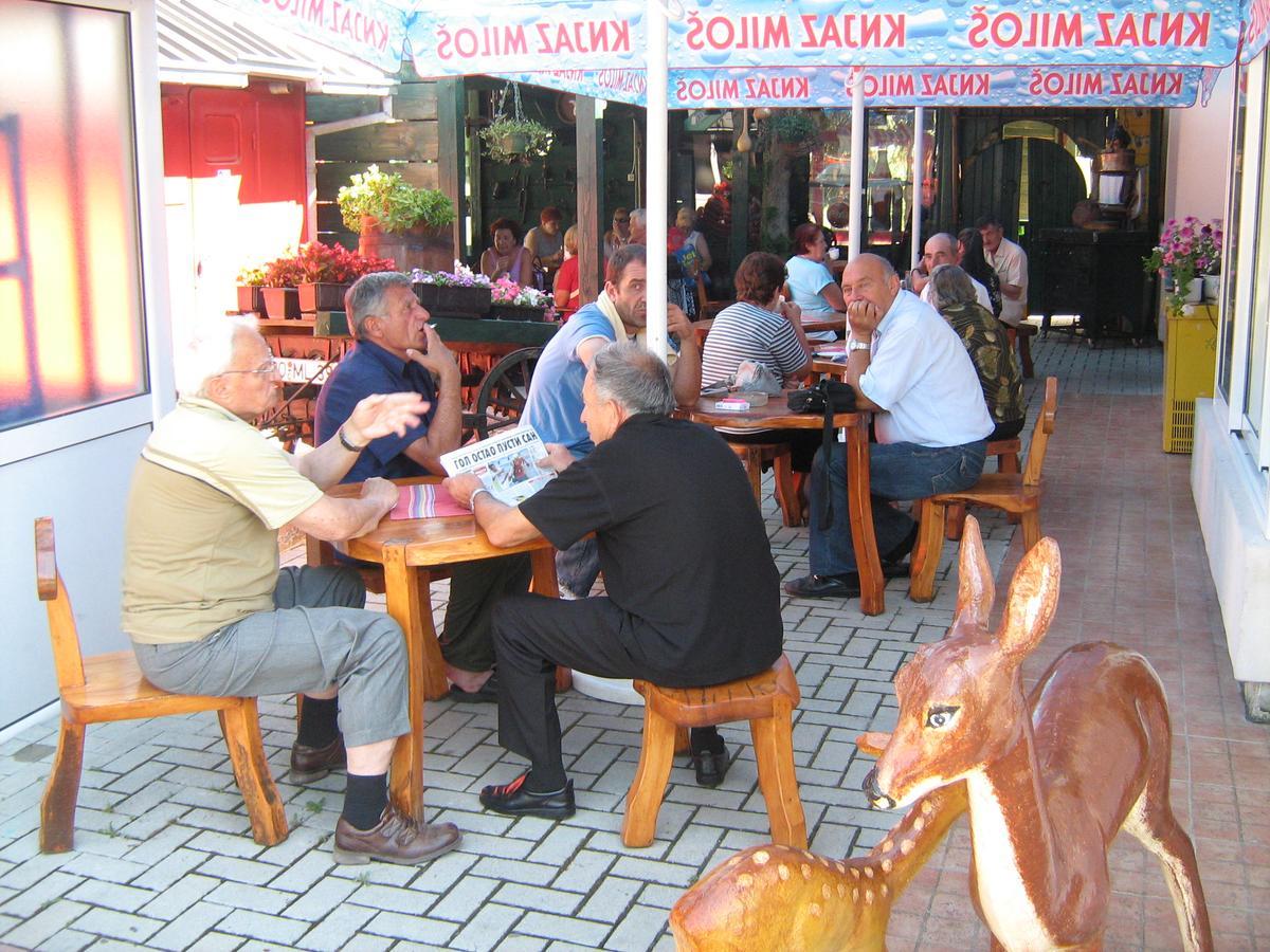 Sobe Za Izdavanje Blef Ovcar Banja Extérieur photo
